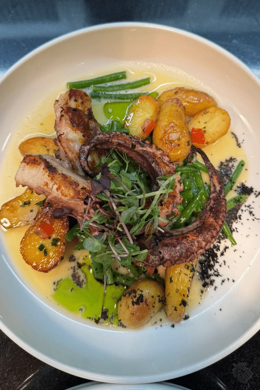 Gegrillter Oktopus mit Drillingen, Bohnen und Kraeutersalat auf hellem Teller